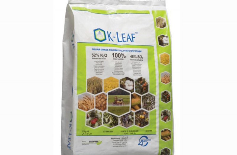 Lorem ipsum dolor sit amet