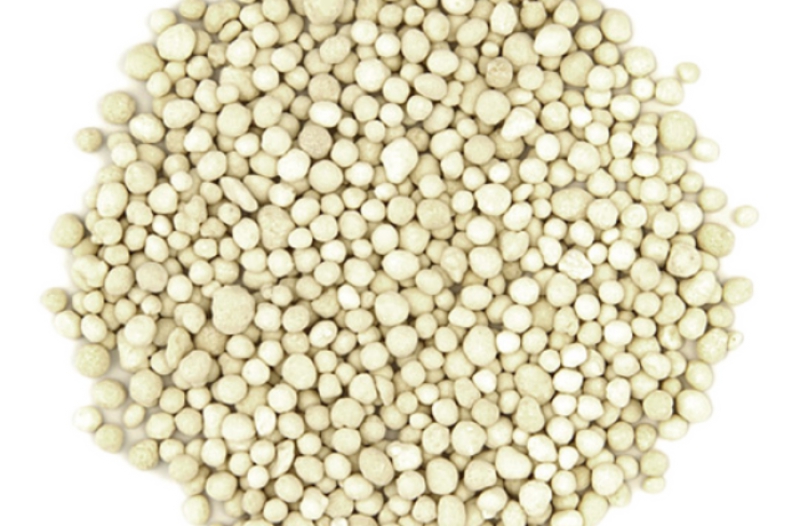 Lorem ipsum dolor sit amet